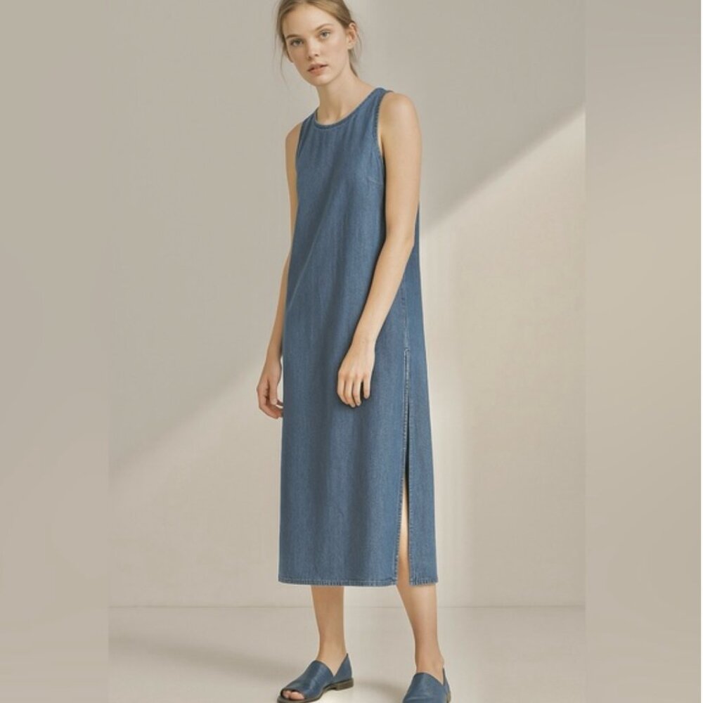 Aritzia Denim Maxi Dress